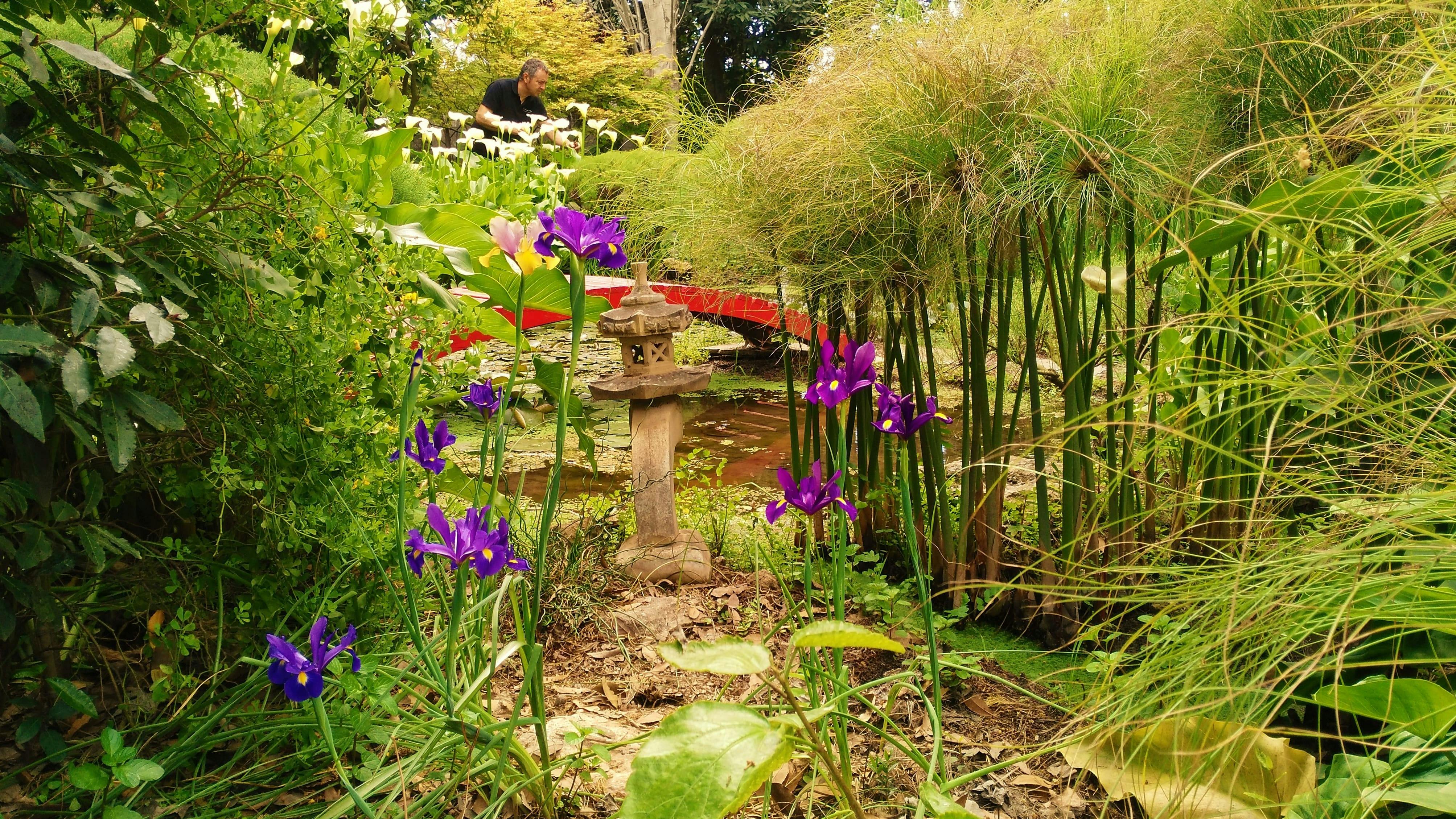 Nerja & Frigiliana Guided Tour with Botanical Garden
