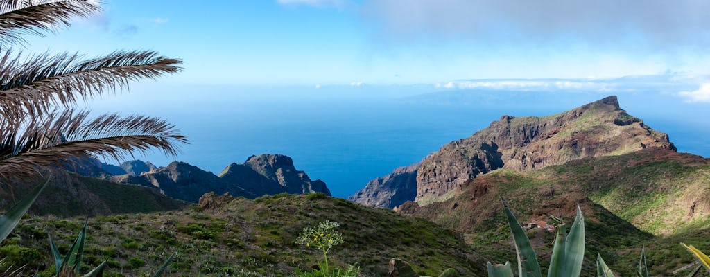 Excursão guiada pelos segredos ocultos do noroeste de Tenerife com transporte