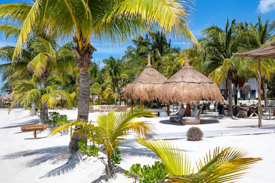 Holbox Island Boat and Buggy Tour from Chiquila