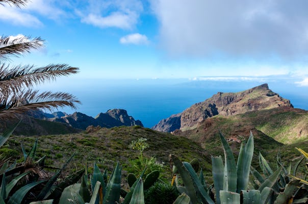 Tour guidato dei segreti nascosti del nord-ovest di Tenerife con trasporto