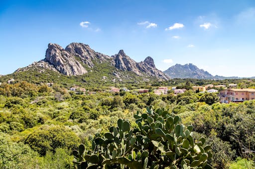 Costa Smeralda and San Pantaleo Market