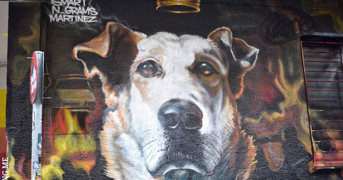 Visita guidata privata a piedi della street art e della cultura di Atene