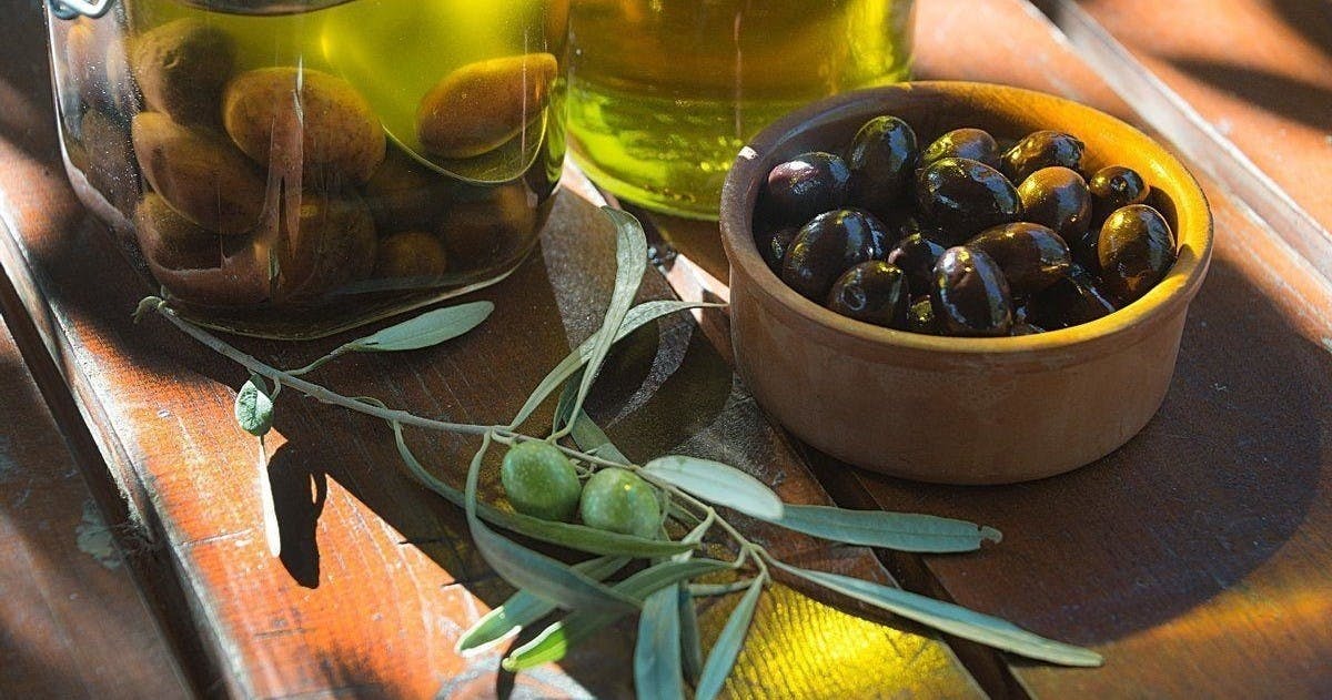 Verkostung von Olivenöl und geführte Erfahrung vom Bauernhof bis zum Tisch in Athen