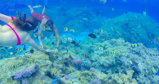Bora Bora lagoon full-day cruise with barbeque lunch