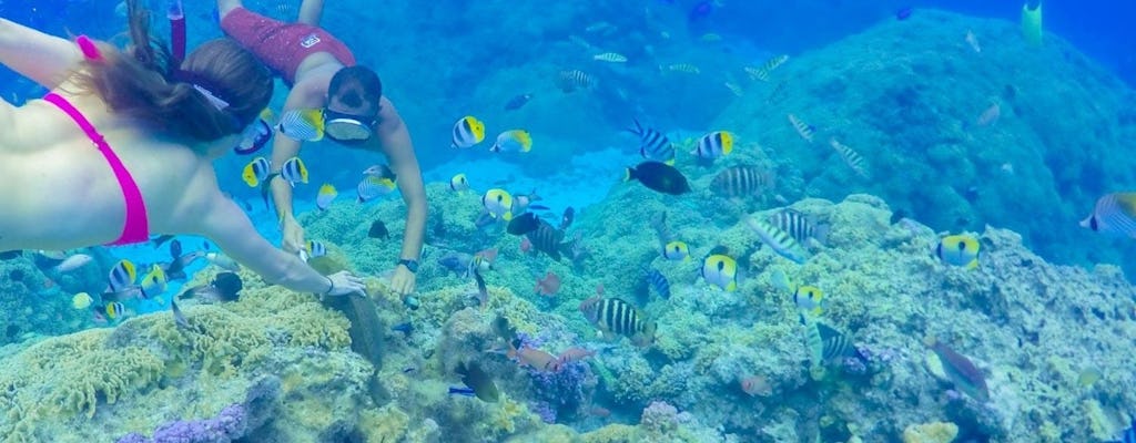 Całodniowy rejs po lagunie Bora Bora z obiadem przy grillu