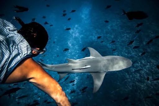 fareharbor-boraboraexplorer|120207-363969