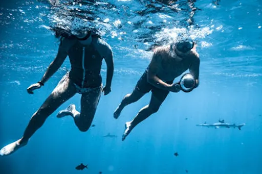 fareharbor-boraboraexplorer|120207-363968