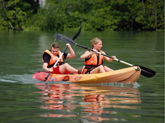 Langkawi Mangrove Kayaking Adventure Tour