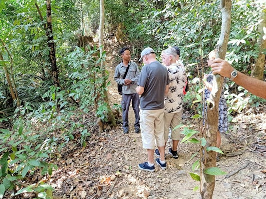 Langkawi-Regenwald-Dschungel-Trekking