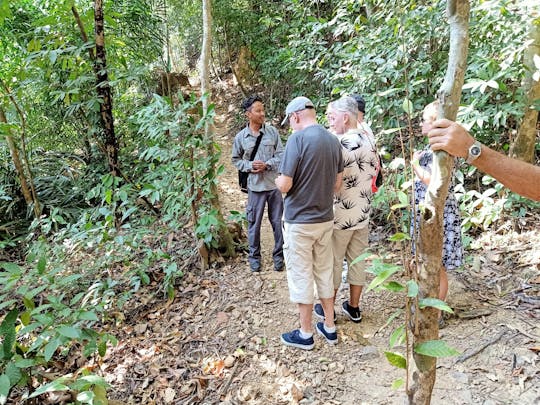 Trekking nella giungla della foresta pluviale di Langkawi