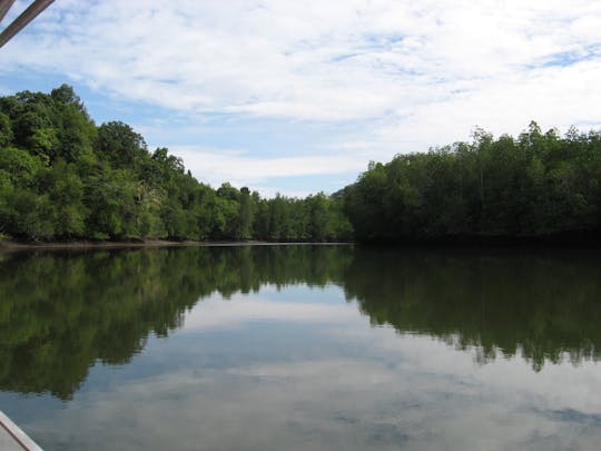 Excursion d'aventure à la découverte de la mangrove de Langkawi en croisière