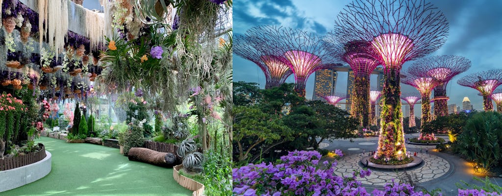 Gardens by the Bay and Flora Fantasy combo ticket