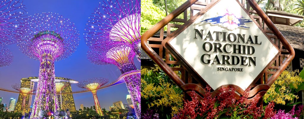Biglietto combinato Gardens by the Bay e National Orchid Garden