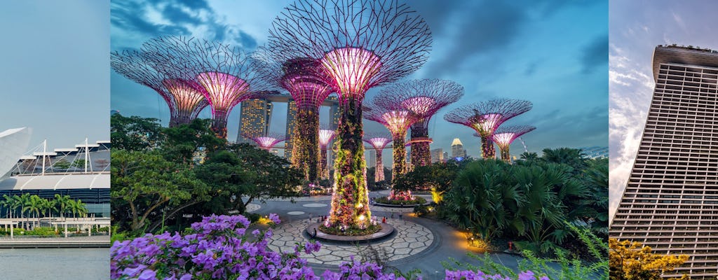 Gardens by the Bay, Skypark, Future World, peak combo ticket