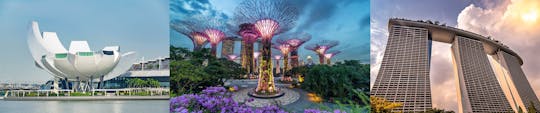 Gardens by the Bay, Skypark, Future World, off-peak combo ticket