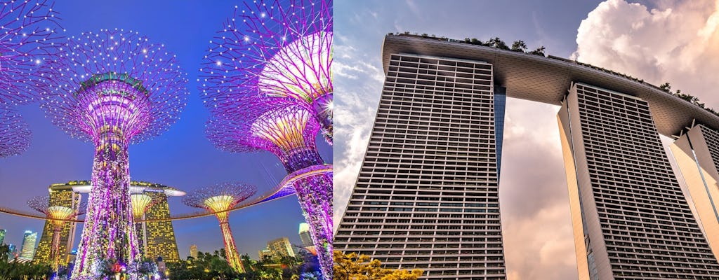 Gardens by the Bay (2 Dome) and SkyPark Observation Deck tickets