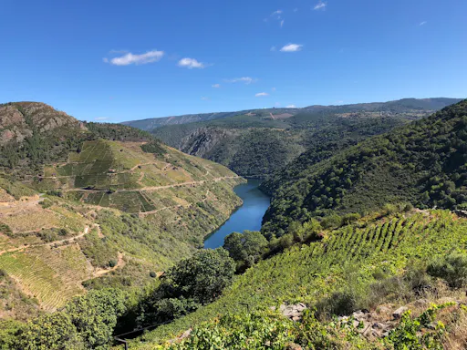 fareharbor-artnaturagalicia|365715-730413