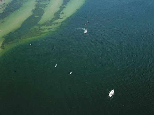 Séance de wakeboard d'une heure sur la mer Baltique à Kiel