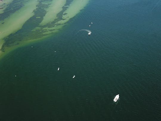 1-hour wakeboarding session on the Baltic Sea in Kiel