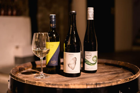 Viennese wine tasting in a roman wine-cellar