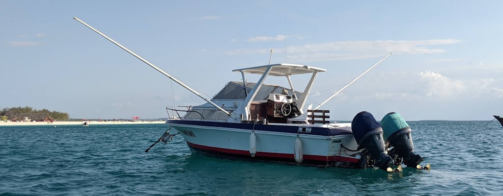Excursão de dia inteiro de pesca em alto mar em Zanzibar