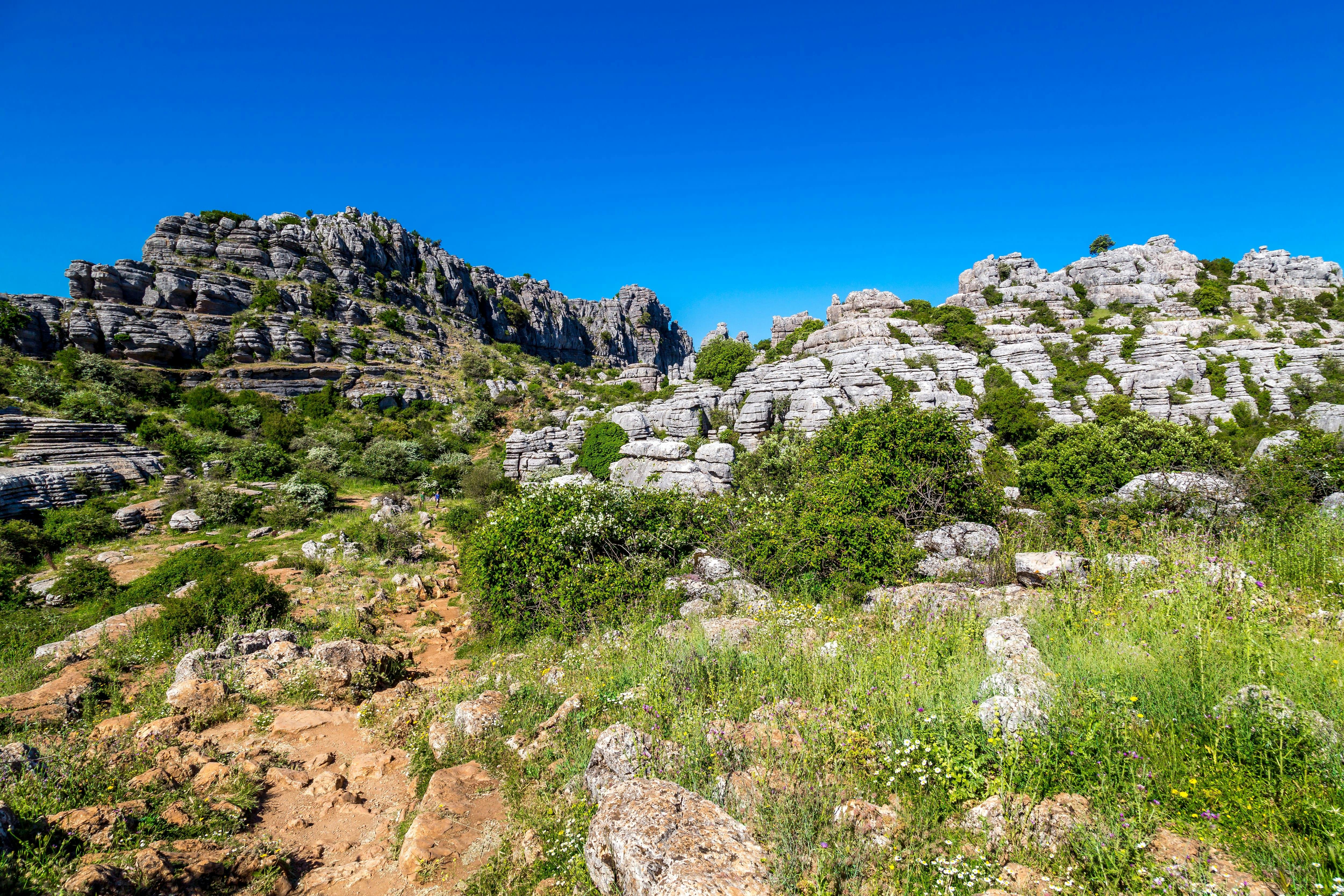 Andalusia Tour with El Torcal, Antequera & Wine Tasting