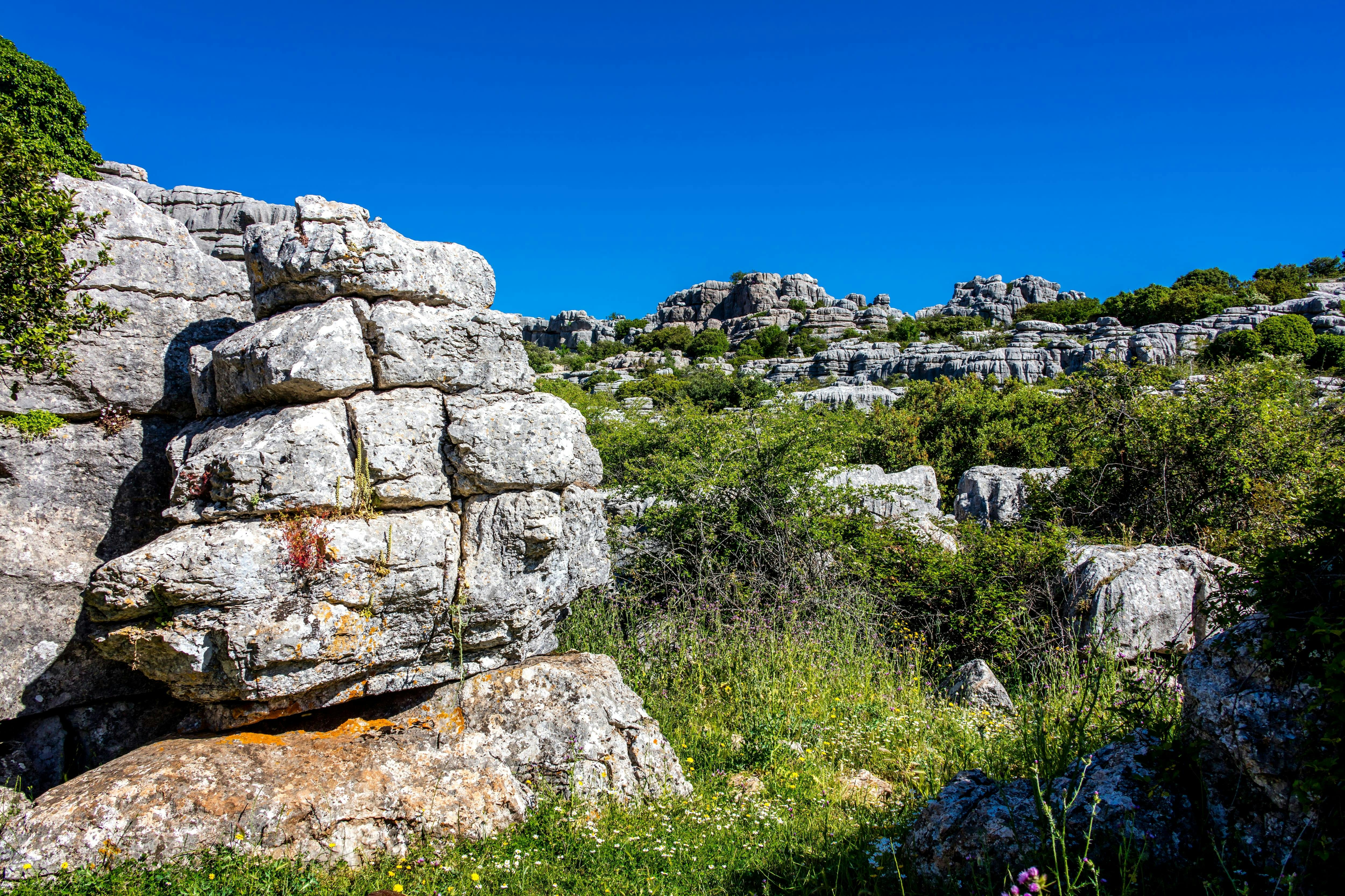 Andalusia Tour with El Torcal, Antequera & Wine Tasting