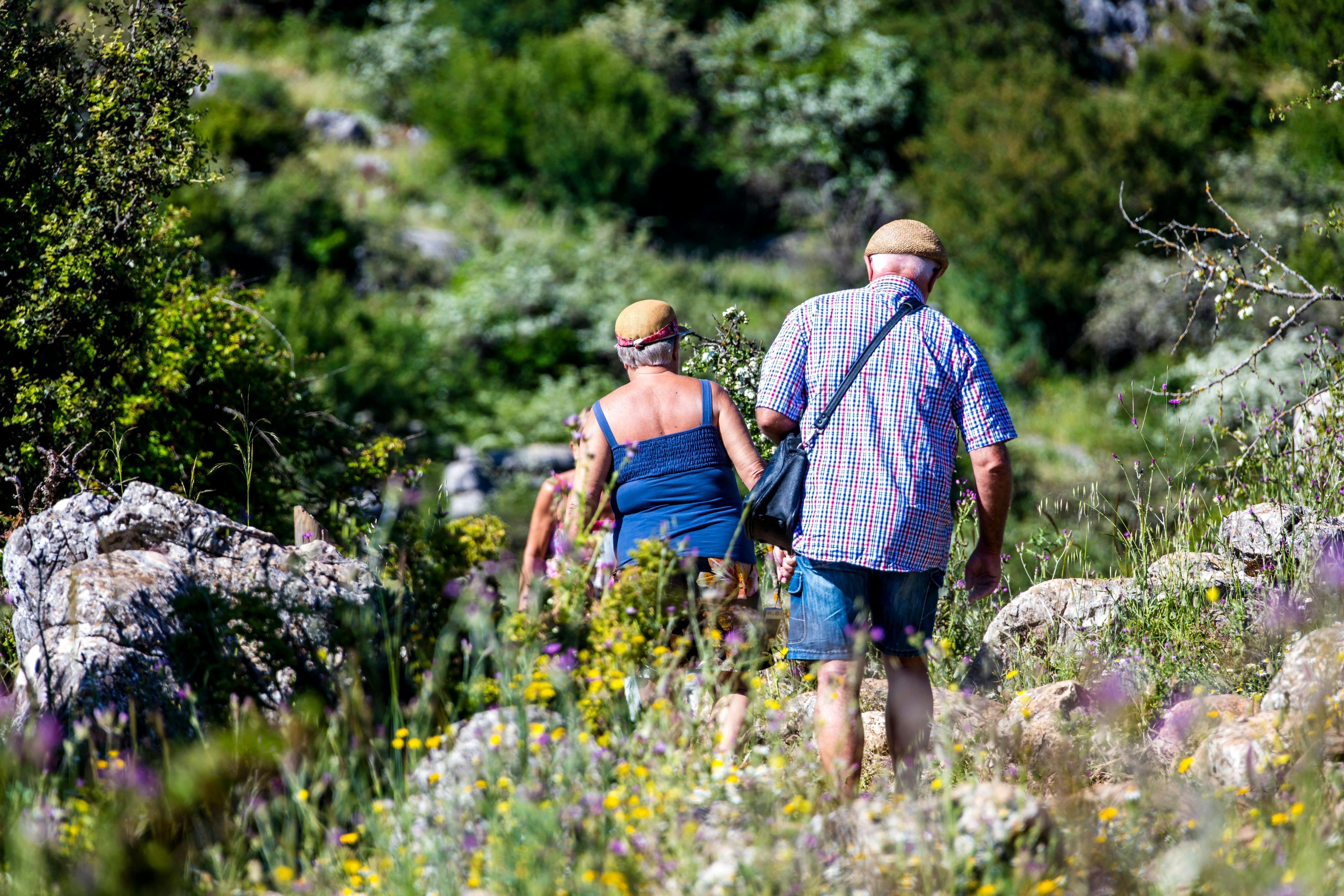 Andalusia Tour with El Torcal, Antequera & Wine Tasting