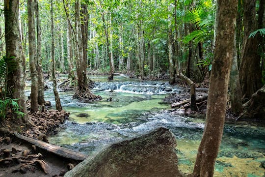 Krabi Jungle Tour z gorącymi źródłami i świątynią Jaskini Tygrysa