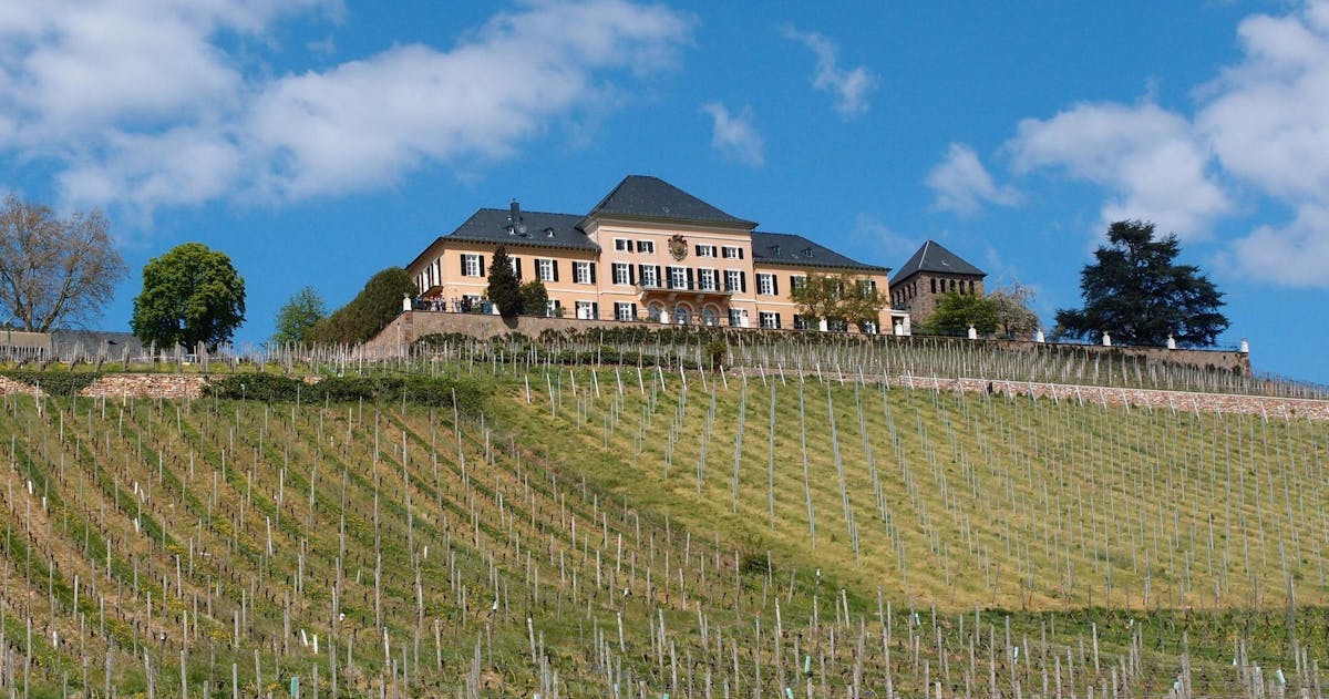 Rheingau e-bike tour