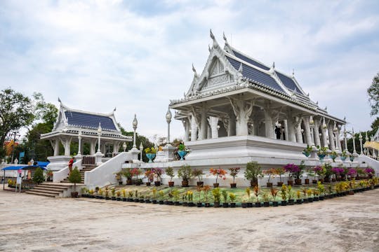 Visite de la ville de Krabi et du temple de la grotte du tigre