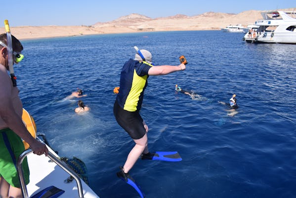 Excursion d'une demi-journée en bateau de plongée en apnée à Charm el-Cheikh avec déjeuner et boissons