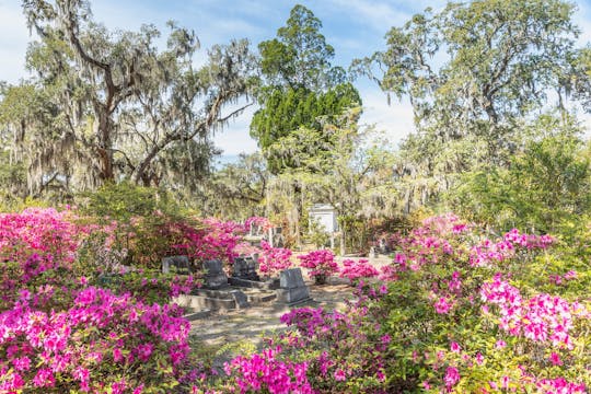 Bonaventure Cemetery walking tour