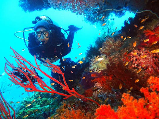 Red Sea diving experiences in Hurghada with transfer