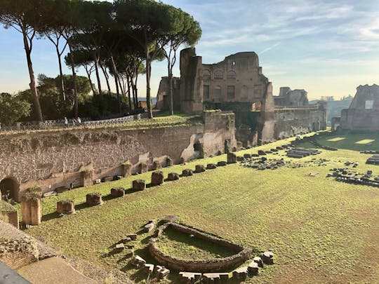 Guided tour of Ancient Rome with Colosseum, Roman Forum and Palatine Hill