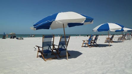 Déjeuner à Clearwater Beach avec des options d’activités au départ d’Orlando