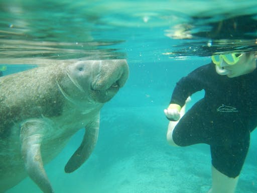 Snorkel and swim in safe spots