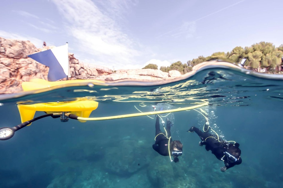 Lobos Island Peter Diving Experience | musement