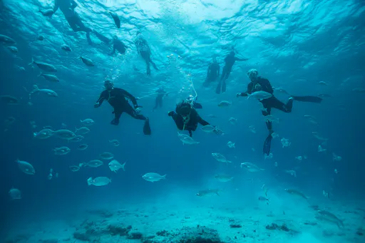 Lobos Island Peter Diving Experience
