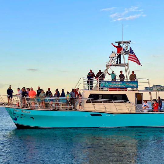 Frisky Mermaid dolphin tour at Pensacola Beach
