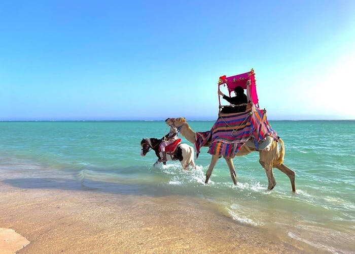Obhur and beach full-day trip from Jeddah