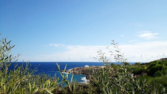 Cyprus Go As You Please Halve Dag Privé-Tour met Taxi en Gids