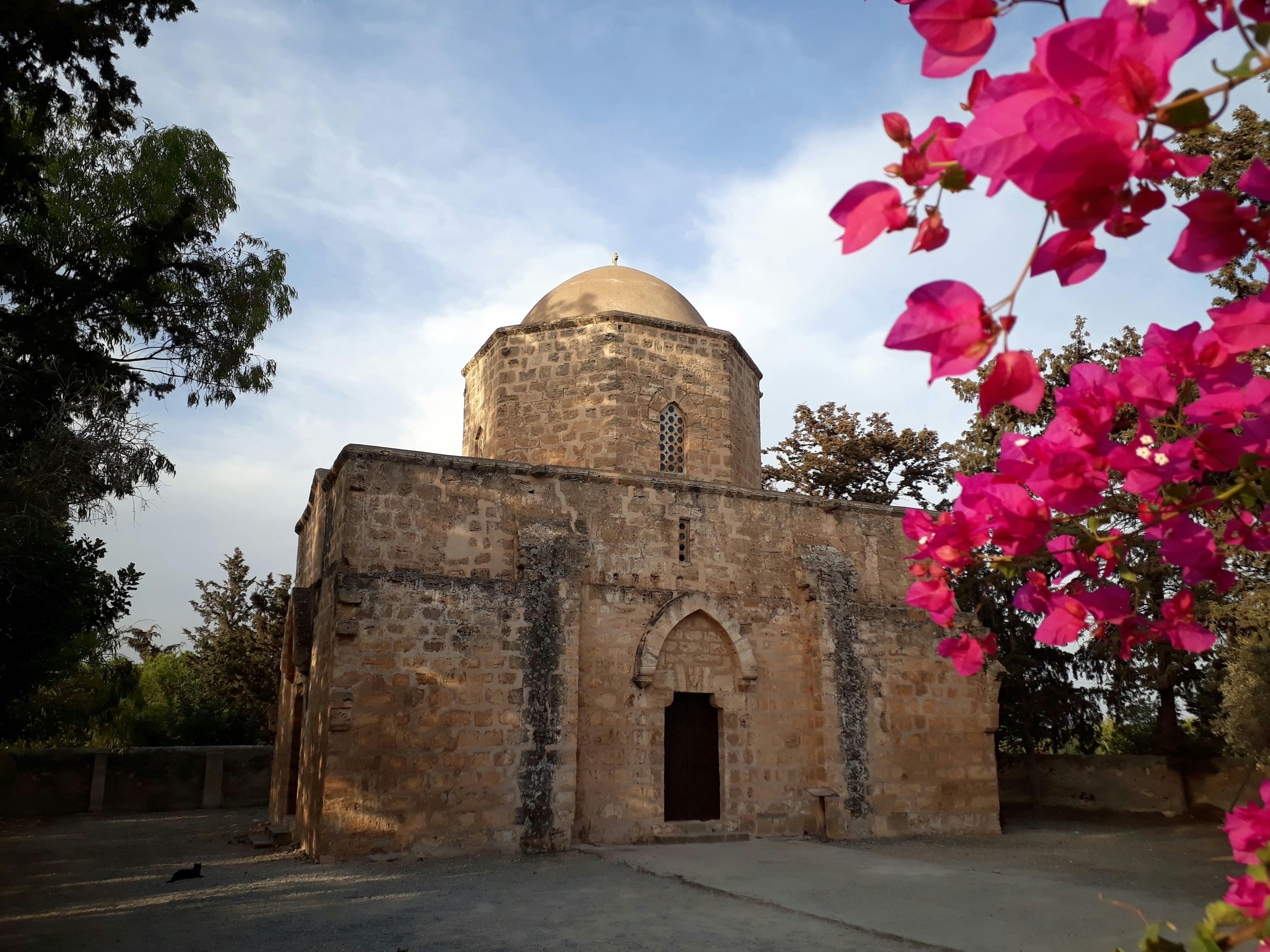 Prywatna półdniowa wycieczka taksówką po Cyprze