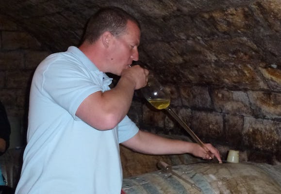 Półdniowa wycieczka po wiejskich winach z Budapesztu