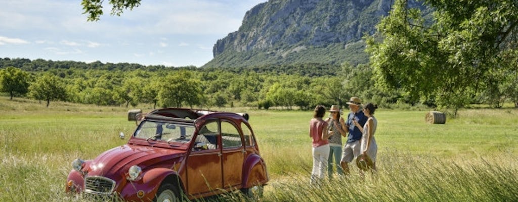 Tour privado de vinos de la región de Languedoc en un automóvil descapotable de época de 2CV