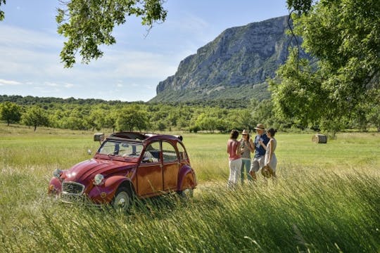 Tour privado de vinos de la región de Languedoc en un automóvil descapotable de época de 2CV