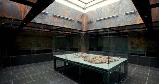 Rynek Underground Museum and Main Market Square guided tour