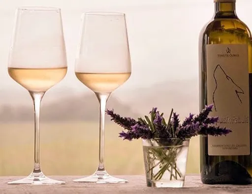 Sardinian Wine Tasting Tour