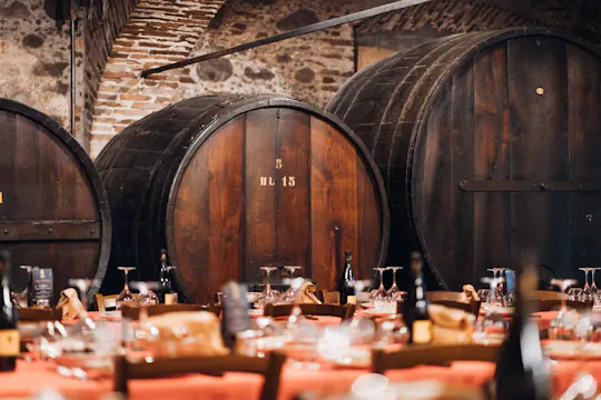 Experiência vínica com almoço típico numa quinta vinhateira