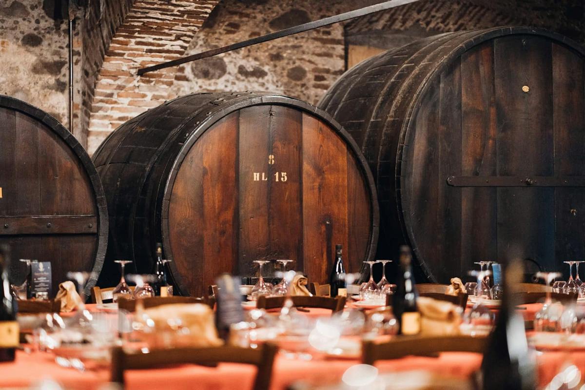 Esperienza enologica con pranzo tipico in un vigneto aziendale